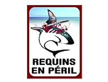 Requins en péril