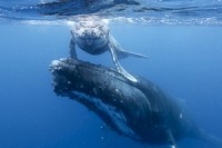 De la photo à la vidéo