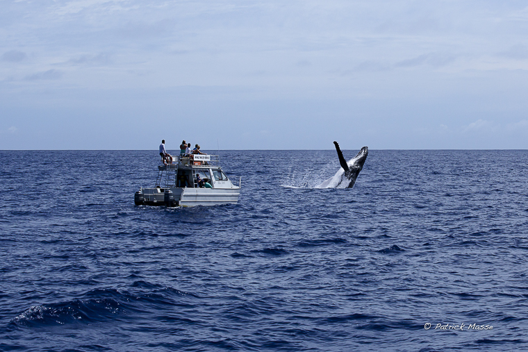 Saut à coté du bateau