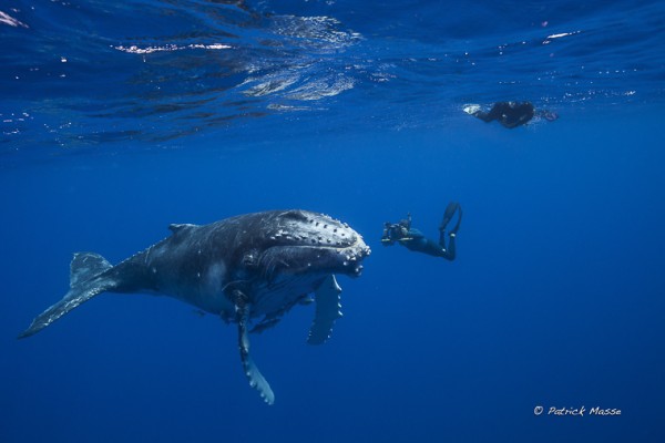 Septembre 2013 : Tonga