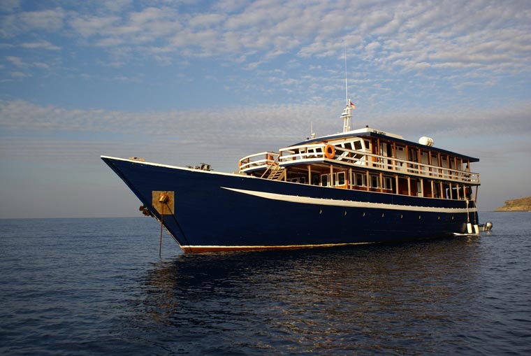 Expédition dans les Raja Ampat Expédition dans les Raja Ampat