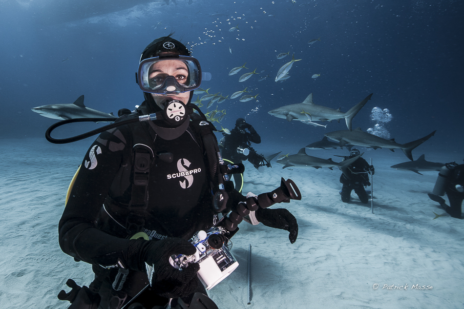 Isabelle et les requins