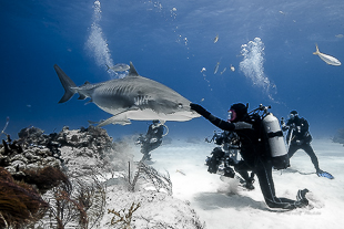 Enlèvement d'hameçon 1