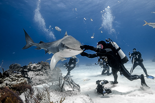 Enlèvement d'hameçon 2