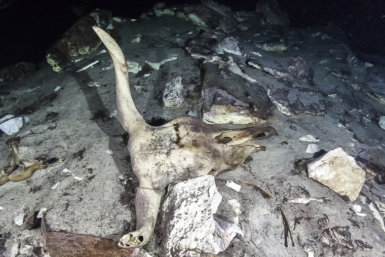 Kalkuch près du village de Chinkila