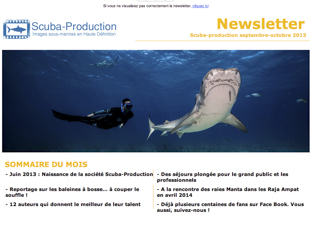 Newsletter n° 1