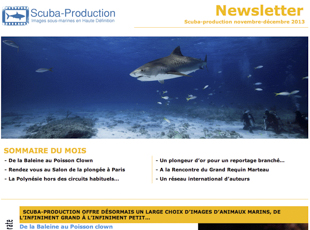 Newsletter n° 2