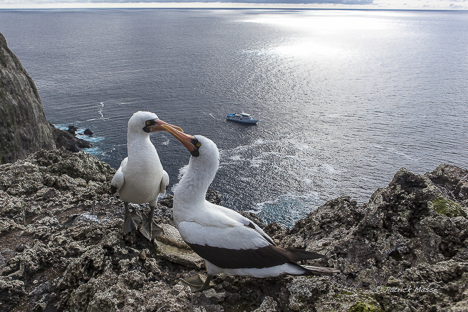 Le Yemaya au mouillage au Nord-Est de l'ïle