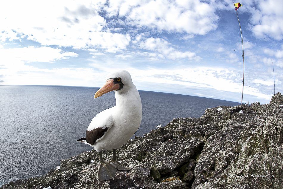 Le drapeau colombien témoin de la présence des militaires sur l'ïle