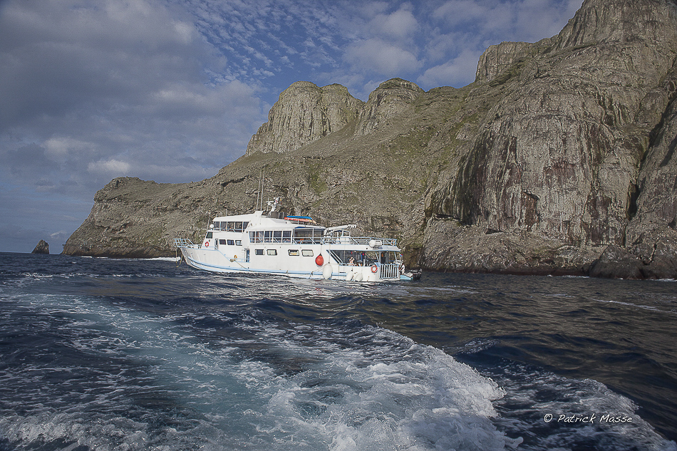 Juillet 2014 : Malpelo